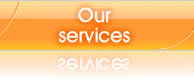 Argentik - our services